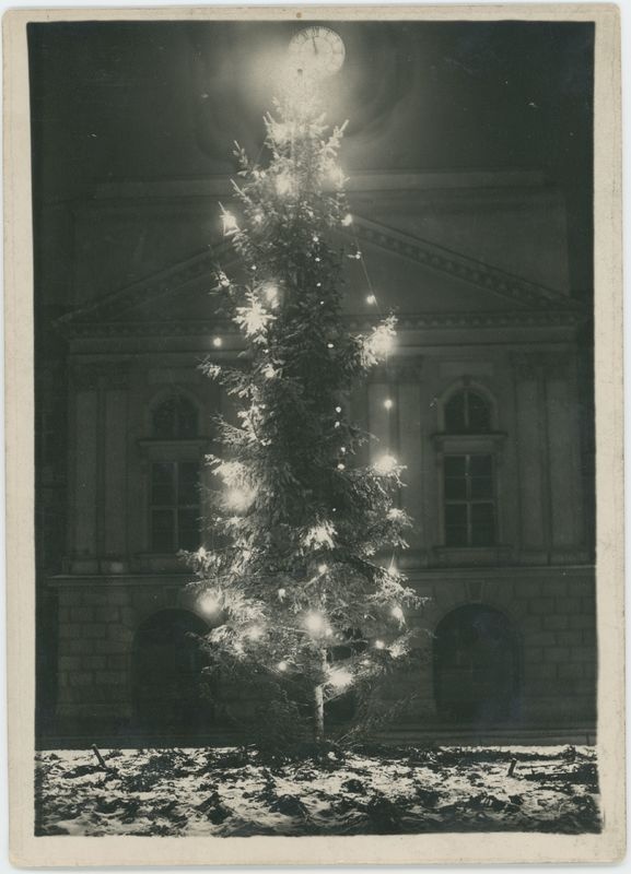 Choinka przed kaliskim ratuszem