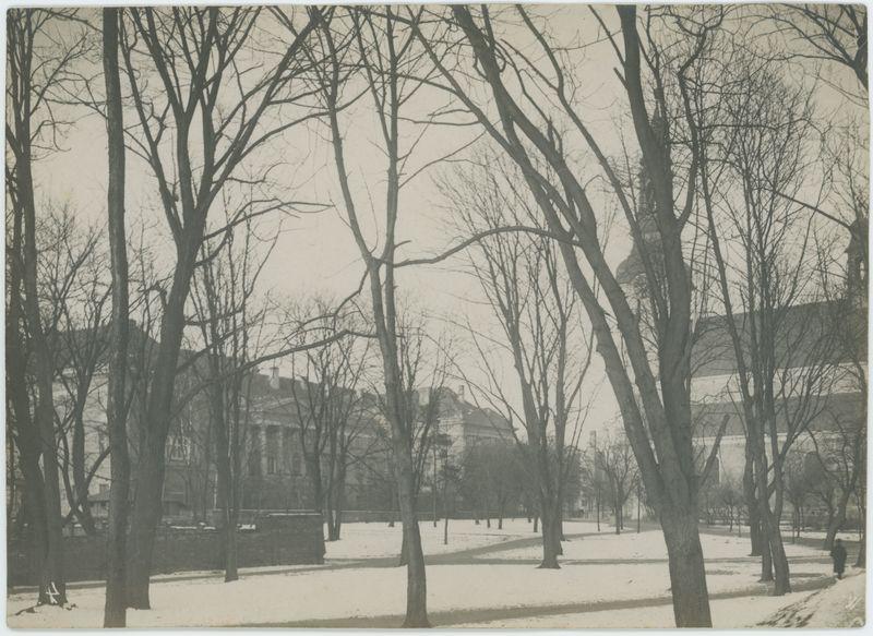 Widok z parku miejskiego na Pałac Gubernatorski i kościół św. Józefa