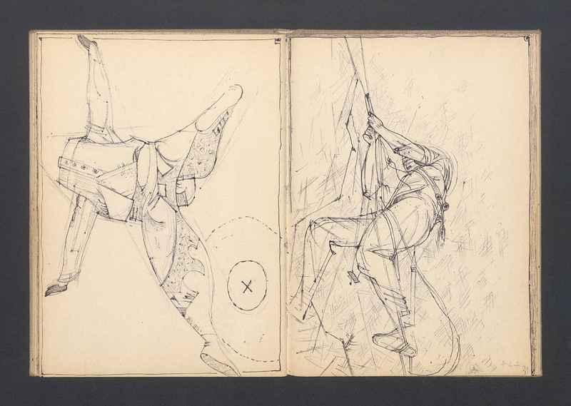 Stalowe ptaki, część II