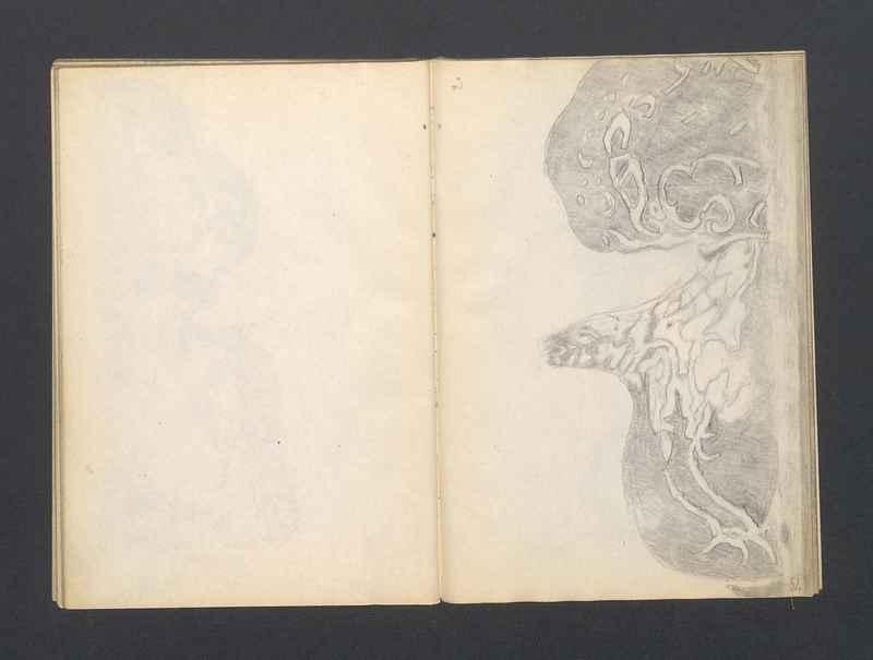 Krajobrazy spalone, Stalowe ptaki, część III