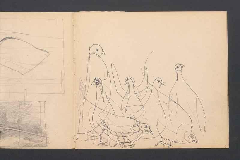 Stwory morskie, część I