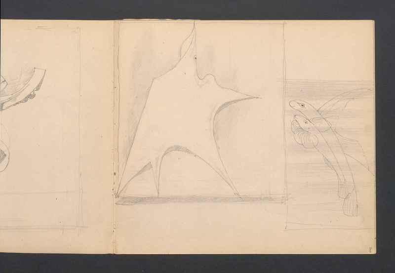 Stwory morskie, część I