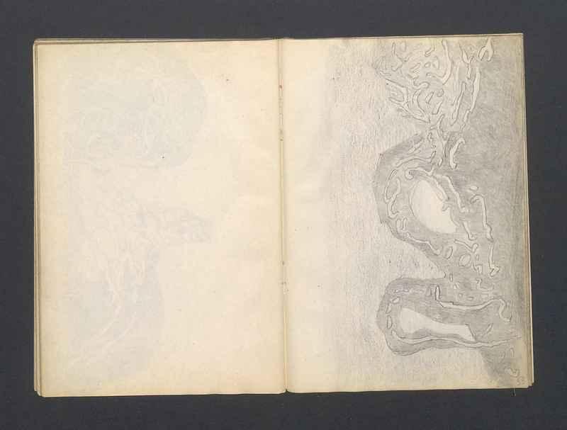 Krajobrazy spalone, Stalowe ptaki, część III