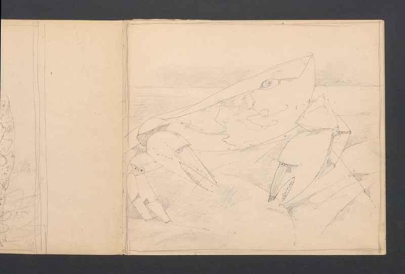 Stwory morskie, część I