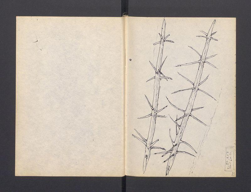 Szlembark, część II