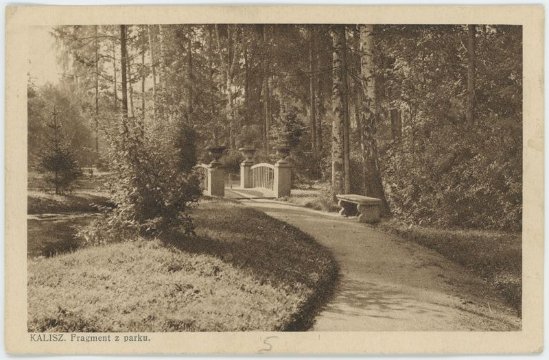 Fragment z parku, Kalisz 