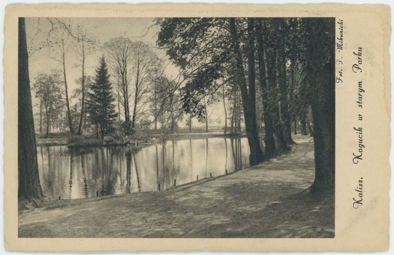 Kogucik w starym parku, Kalisz