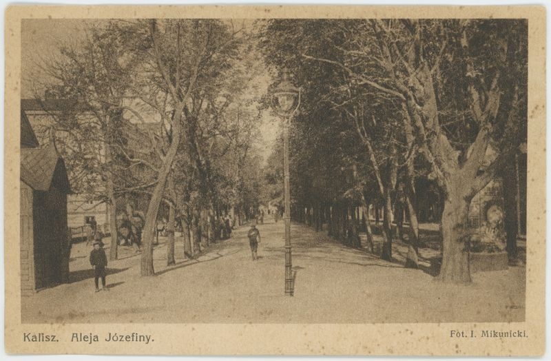 Aleja Józefiny, Kalisz