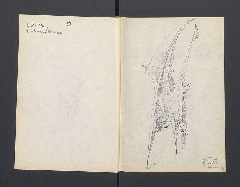 Szlembark, część II