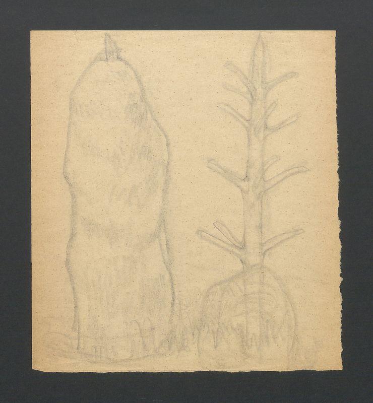 Stóg i ostrewki; Szkice