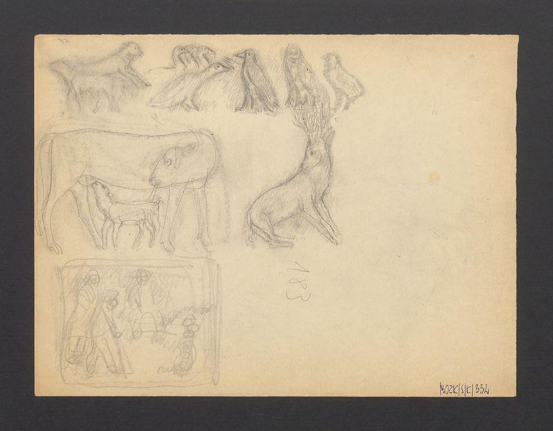 Martwa natura; Szkice zwierząt