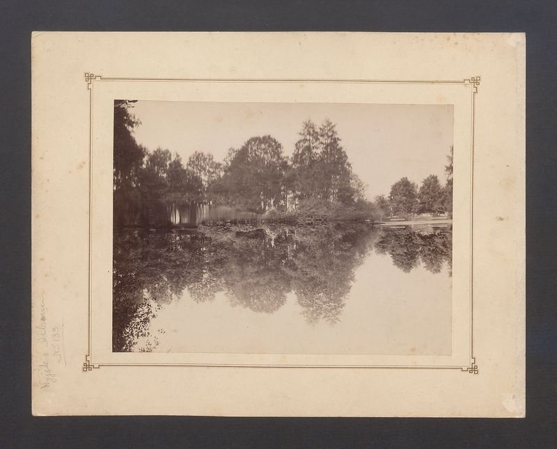 Kogutek w kaliskim parku