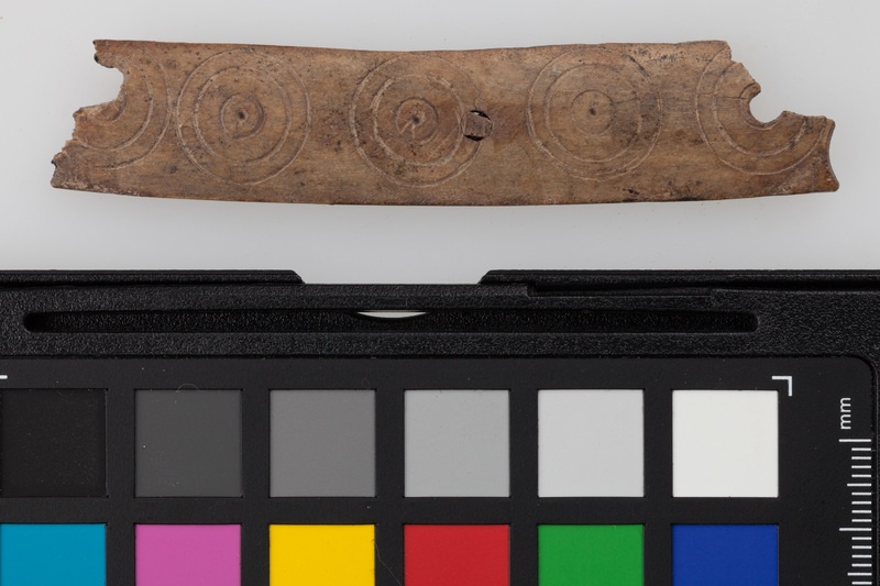 Okładzina kościana