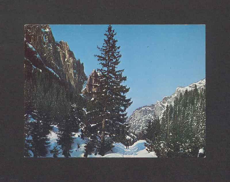 Z okazji imienin [...]