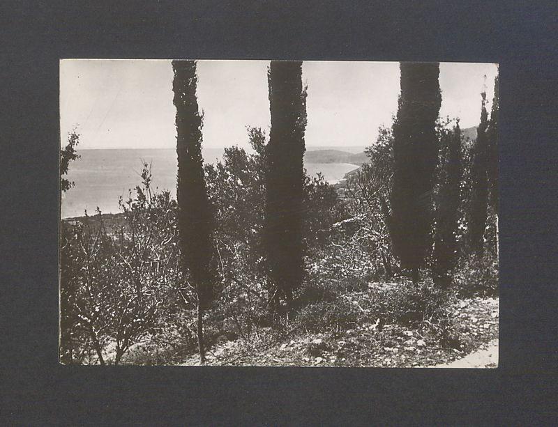 Kochanie Panie Profesorze! Wysyłam najlepsze życzenia [...]