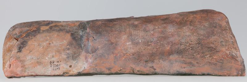 Kafel z tarczownikiem