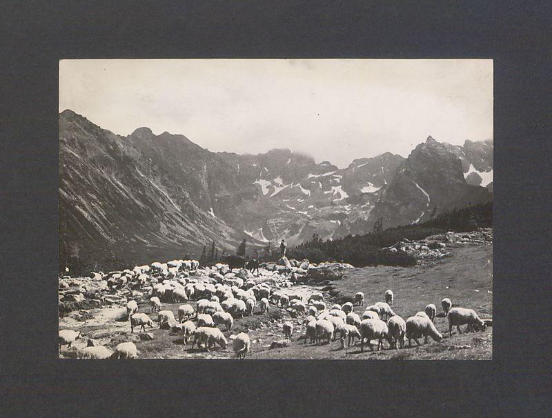 Kochani. Łażę po Krupówkach [...]