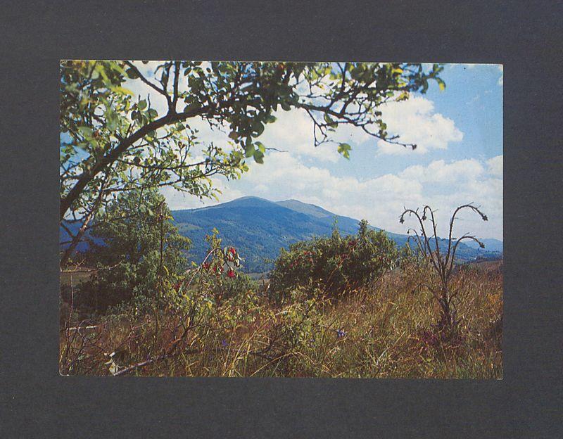 Kochane Kuliski. Karta ta niestety pisana jest już w W-wie [...]