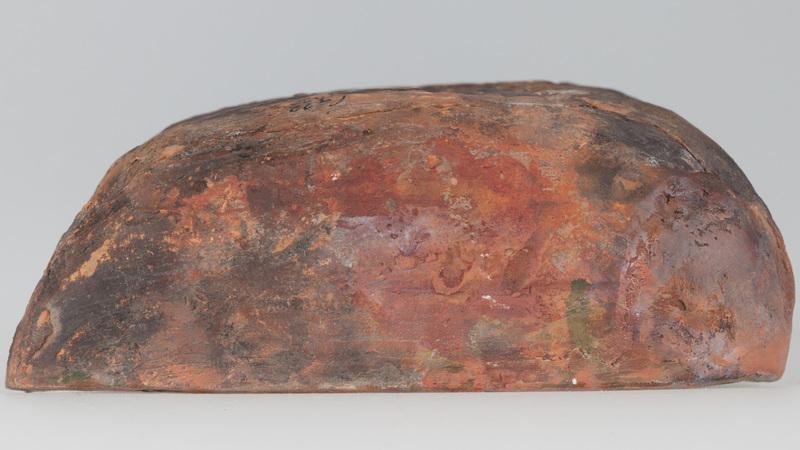 Kafel z tarczownikiem