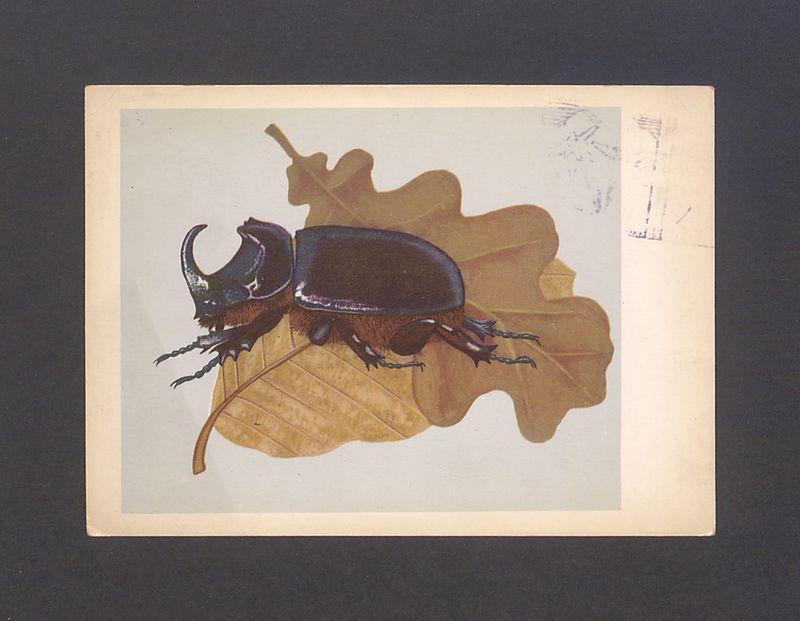 Kochana Basiu! Tydzień wytrzymałam [...]