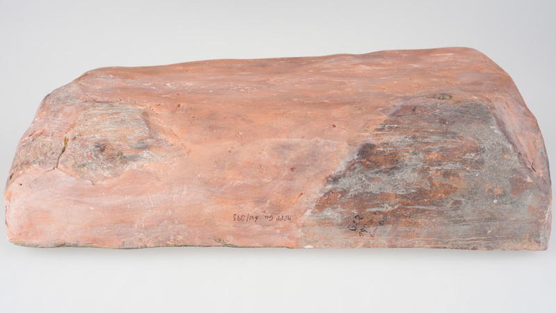 Kafel z tarczownikiem