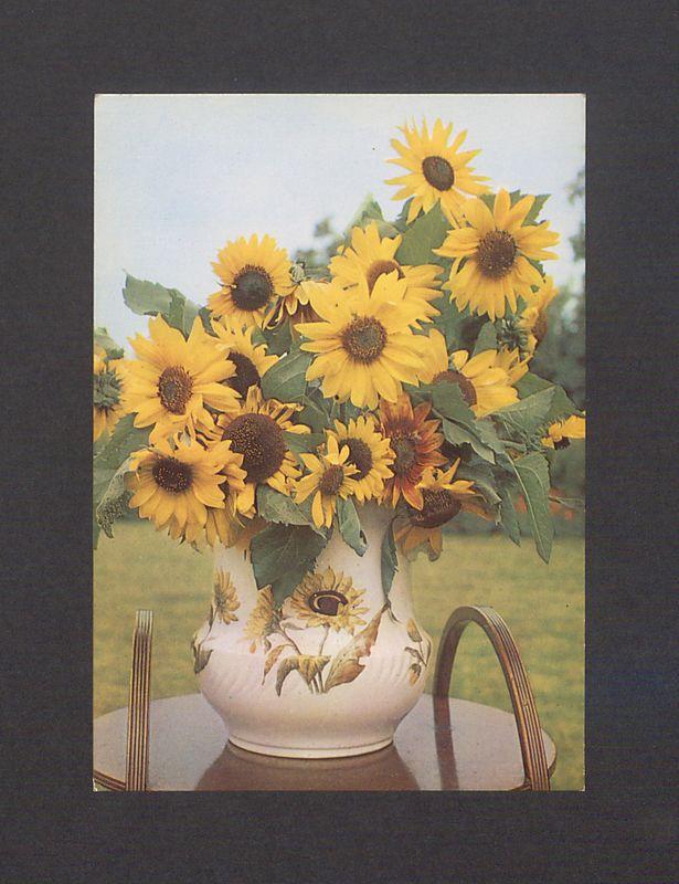 Bardzo serdeczne życzenia, drogiej Solenizantce [...]