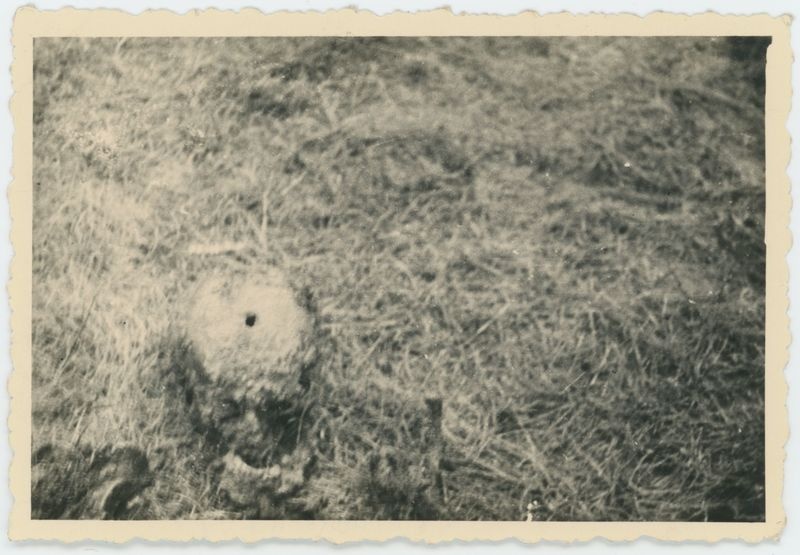 Ekshumacje zwłok pomordowanych pod Kaliszem w czasie II Wojny Światowej