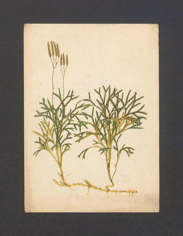 Kochani! Siedzimy ze Siostrą [...]