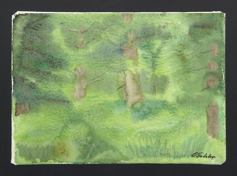 Wrocław, Park Szczytnicki VII