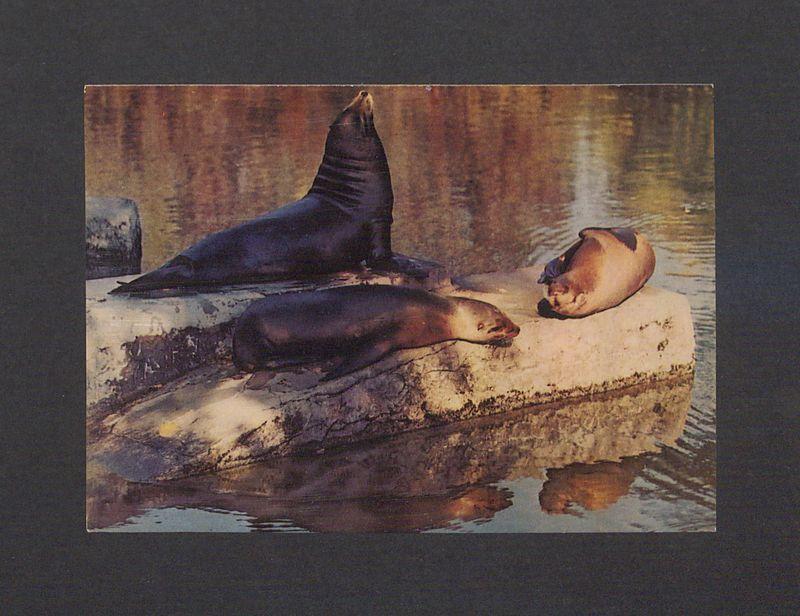 Kochani! Dwa tygodnie już siedzimy na wsi [...]