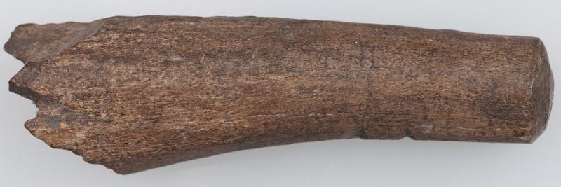 Półfabrykat z poroża