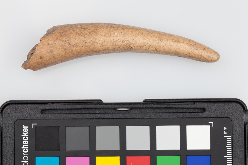 Półfabrykat z poroża