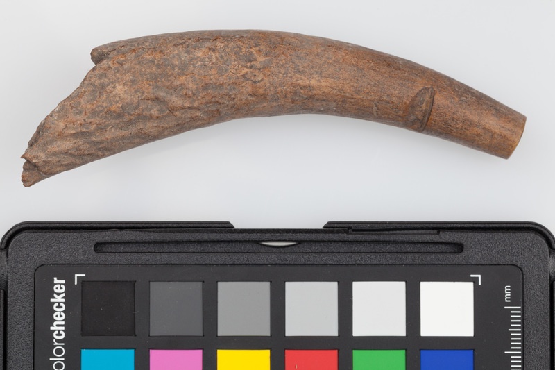 Półfabrykat z poroża