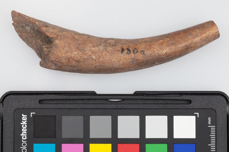 Półfabrykat z poroża