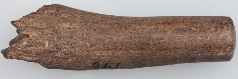 Półfabrykat z poroża