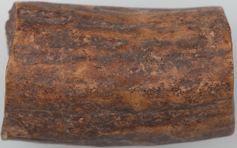 Półfabrykat z poroża