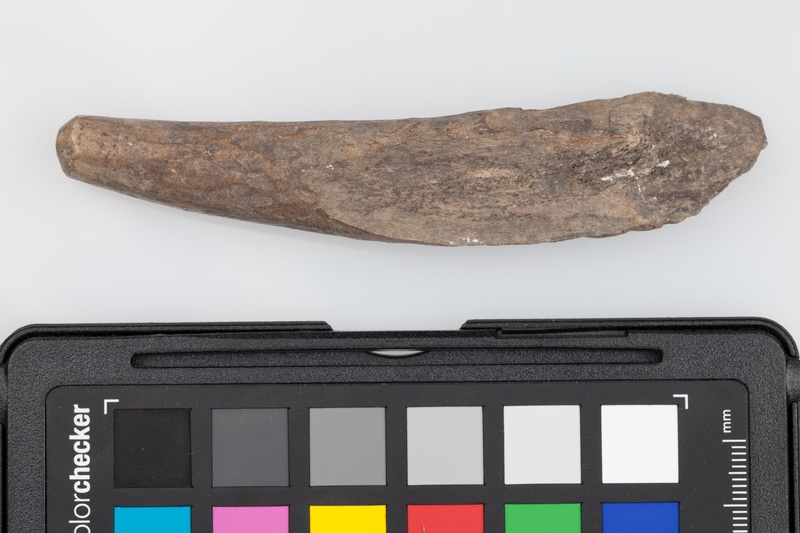 Półfabrykat z poroża