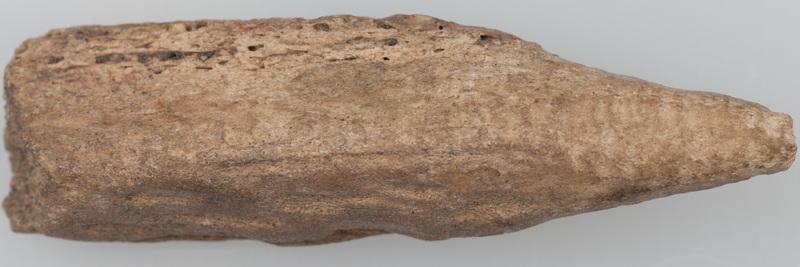 Kolec z poroża