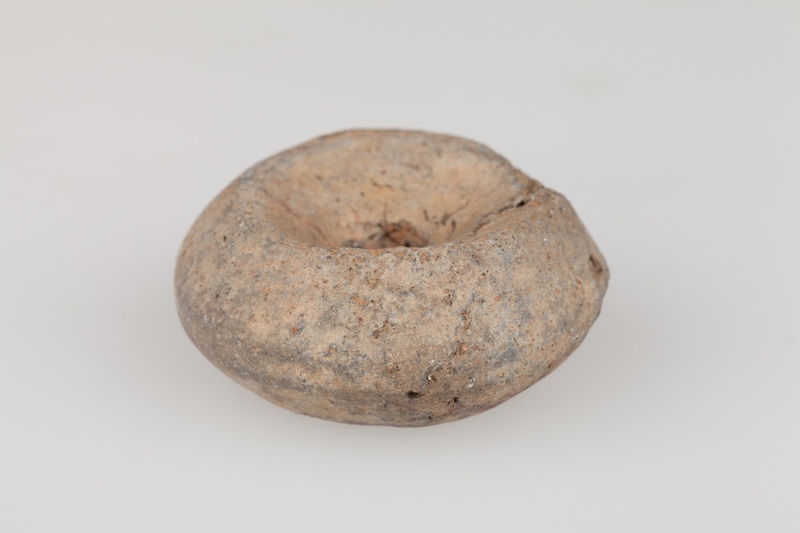 Przęślik gliniany dwustożkowaty