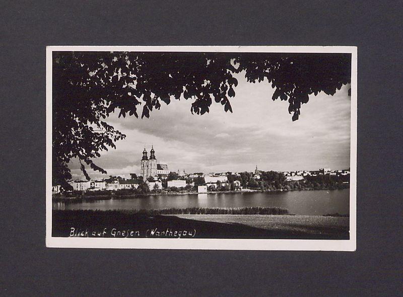 Panorama miasta Gniezna z zachodniego brzegu jeziora Jelonek.
