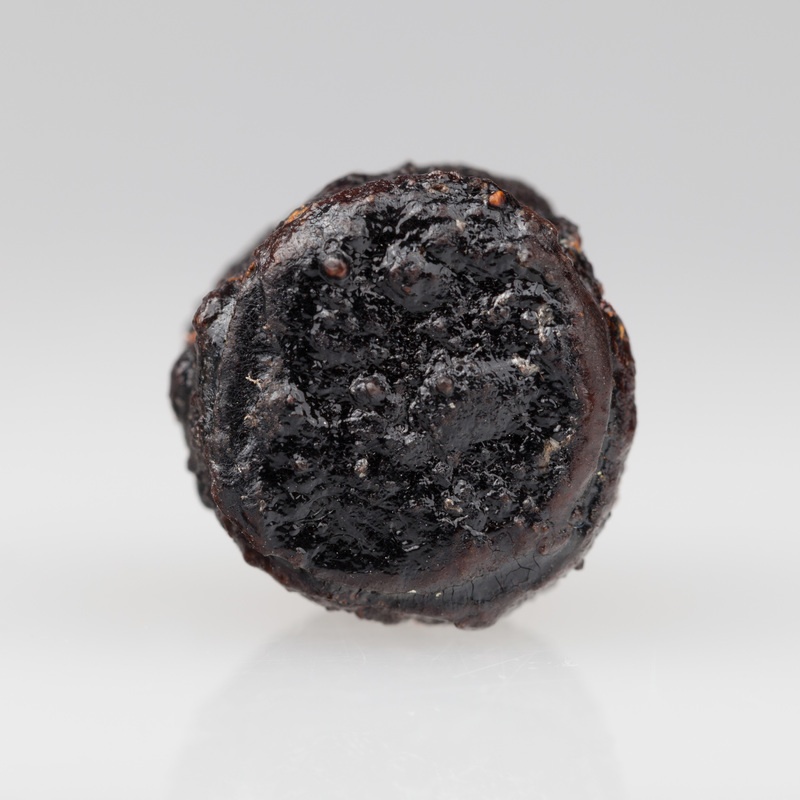 Żelazny wisiorek wiaderkowaty