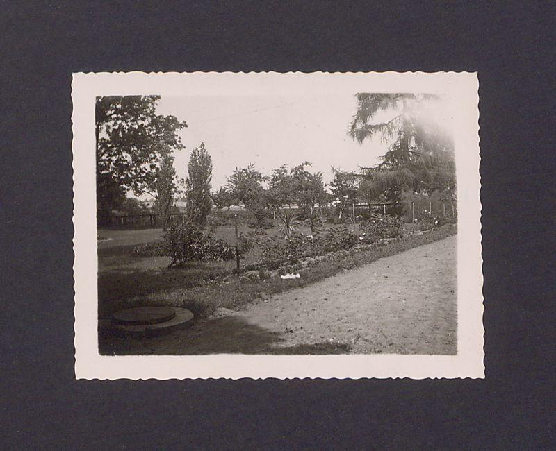 Park Uniwersytetu Ludowego w Dalkach pod Gnieznem.