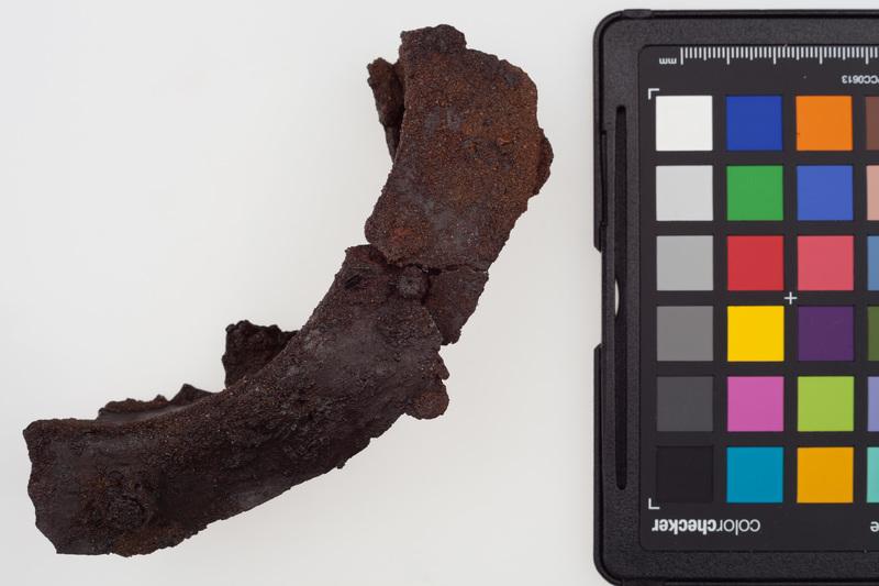 Metalowe części tarczy (połowa umba, imacz, okucia boków)