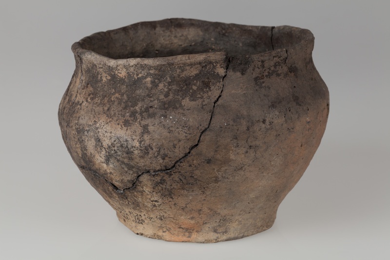 Waza szerokootworowa 