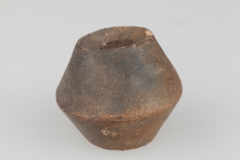 Przęślik dwustożkowaty