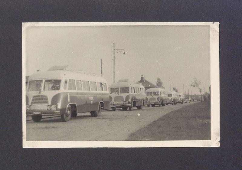 Uroczyste obchody MPGK w Gnieźnie. Autobusy MZK (Miejski Zakład Komunikacji).