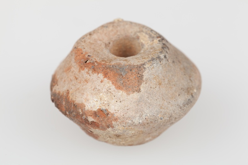 Dwustożkowaty przęślik gliniany