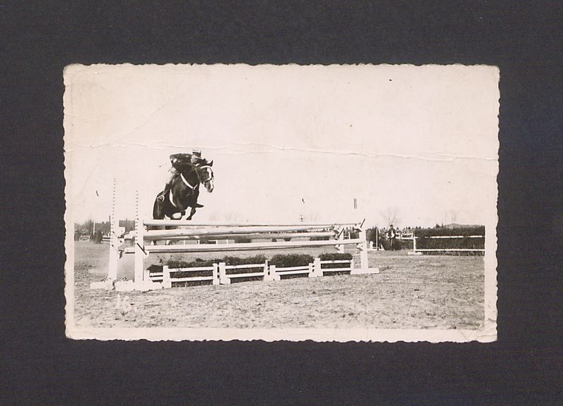 Zawody konne. Skok przez przeszkodę.