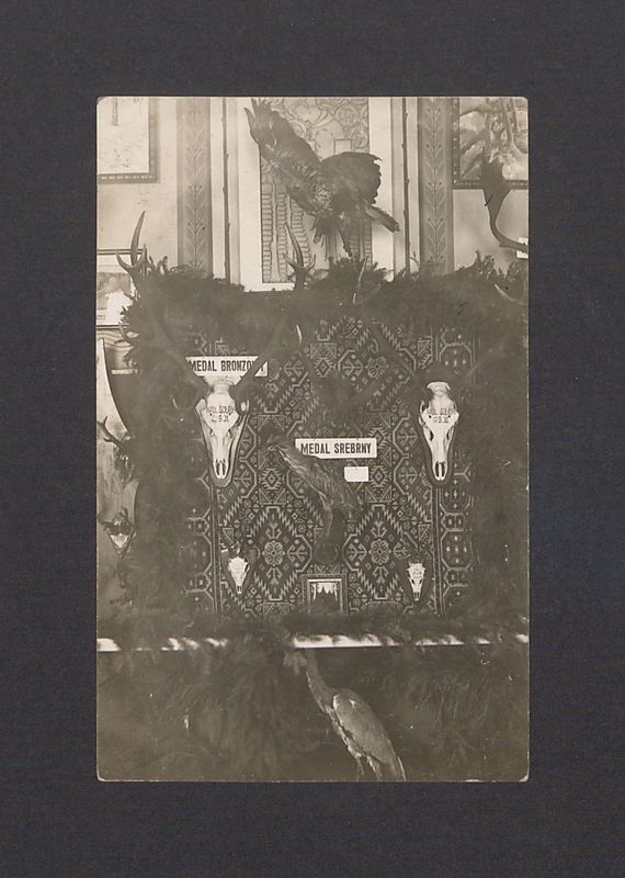 Wystawa produktów rolniczych w Hotelu Europejskim
Prezentacja poroży.
