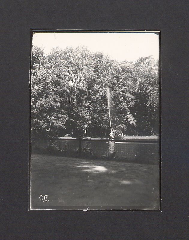 Szklane negatywy Dionizego Scholtza. Fragment Parku Miejskiego.